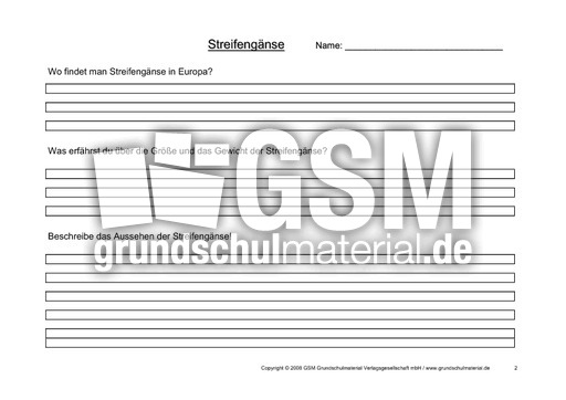 Arbeitsblatt-Streifengans-2.pdf